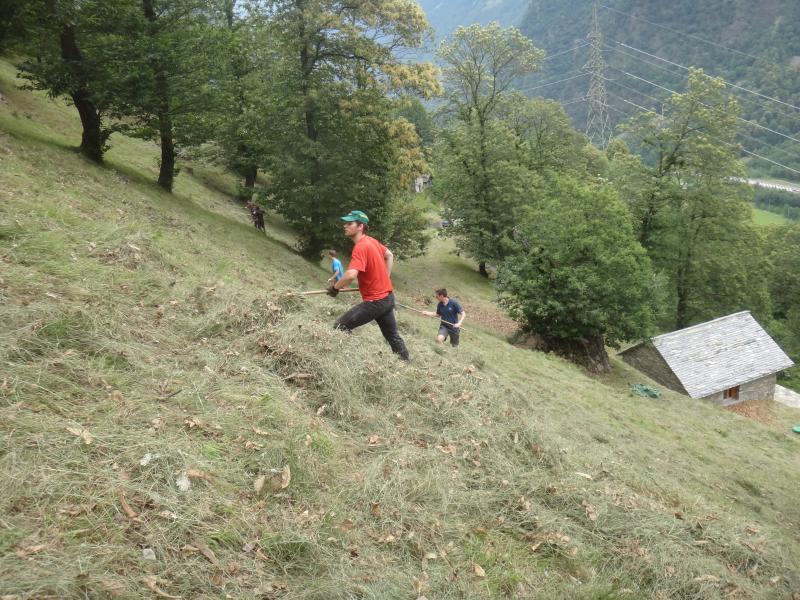 Servizio civile